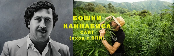 ALPHA PVP Бородино