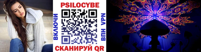 Купить закладки  Тырныауз  Галлюциногенные грибы Cubensis 
